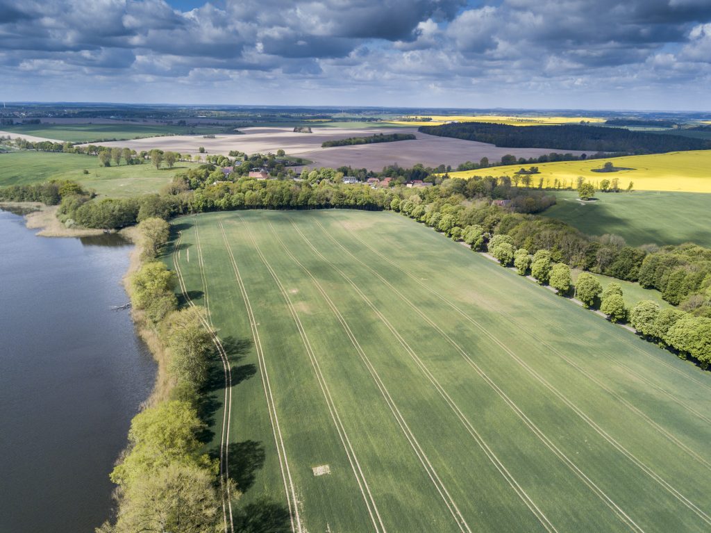 Rothen Dorf Kastanienallee Mildenitz Fruehling Sternberger Seenland DJI 0024