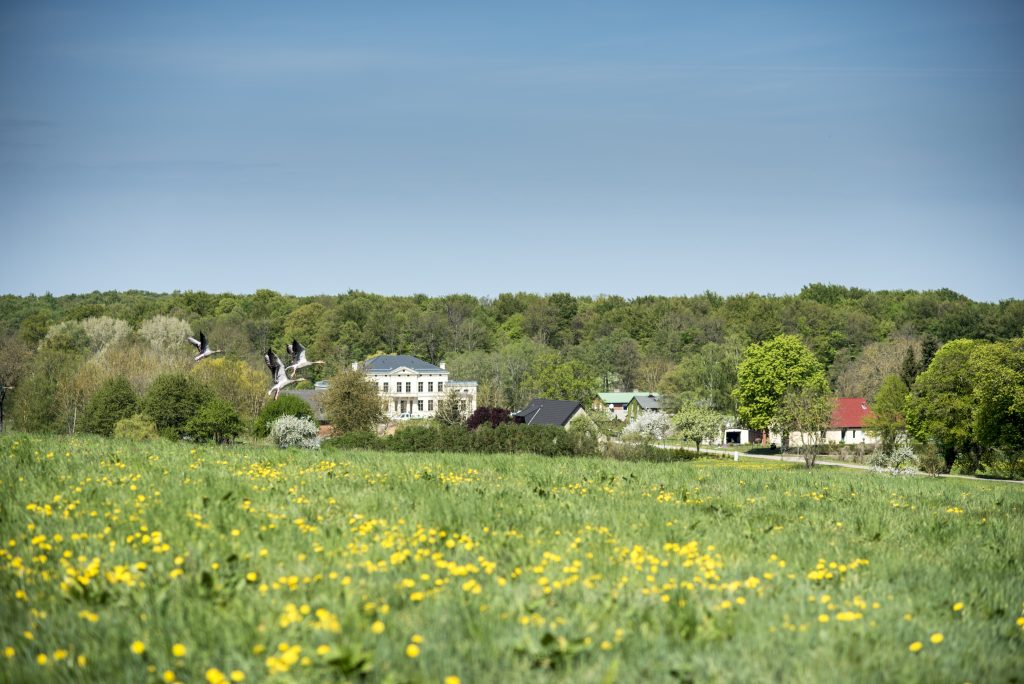 Aussicht Zülow bei Sternberg. Wiesen vor dem Anwesen